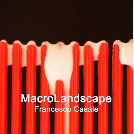 Francesco Casale – MacroLandscape